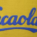 Pena Solera vintage retro cycling, maglia ciclismo 2velo